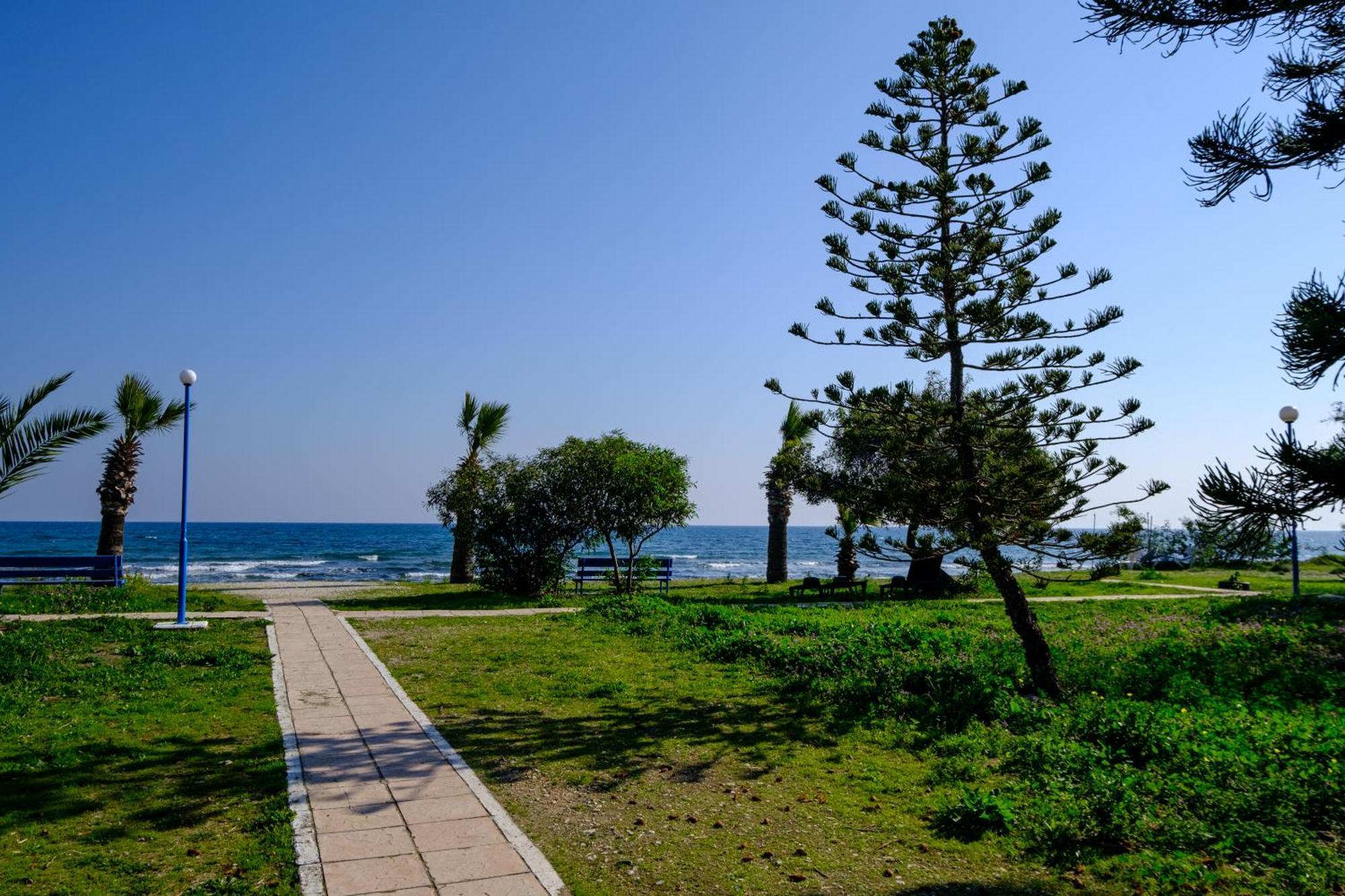 Demetris Apartment Meneou Bagian luar foto